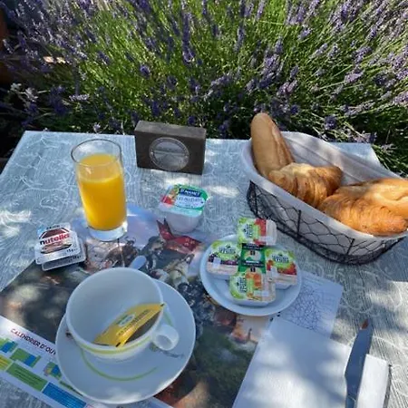 Hotel Le Narval