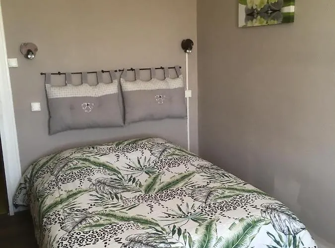 Le Narval * Saint-Jean-de-Monts